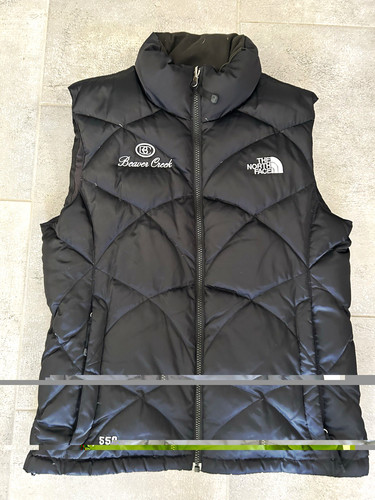 The north face - the,